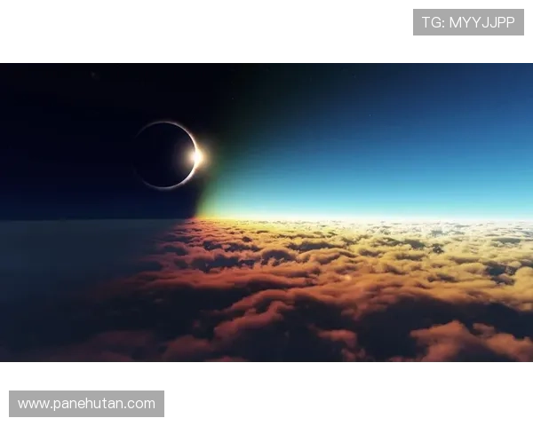 星空体育官方登录入口：登录流程详细解析帮助用户顺利进入平台