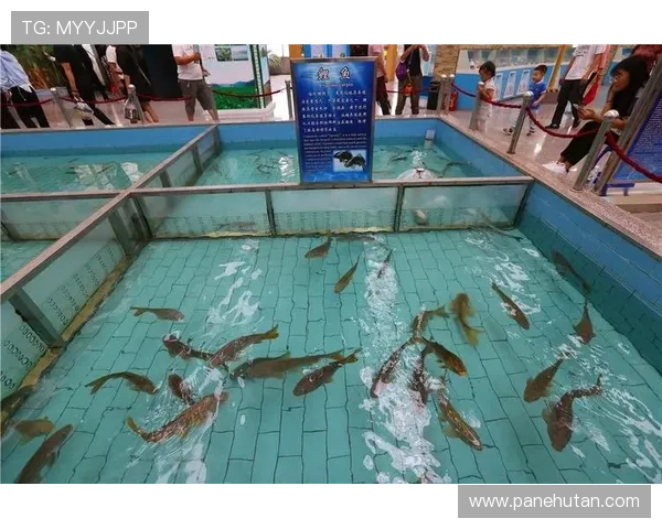 博鱼买球如何选择优质的投注产品，提升您的盈利机会与体验感